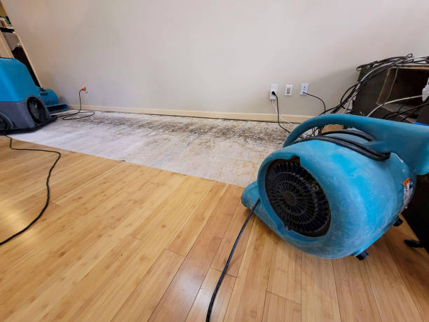 Professional Basement Flood Cleanup technician working in Salado, TX